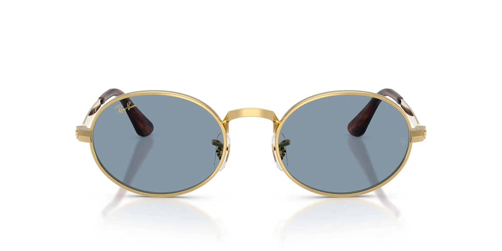 Ray-Ban 3931 Sunglasses - view 35
